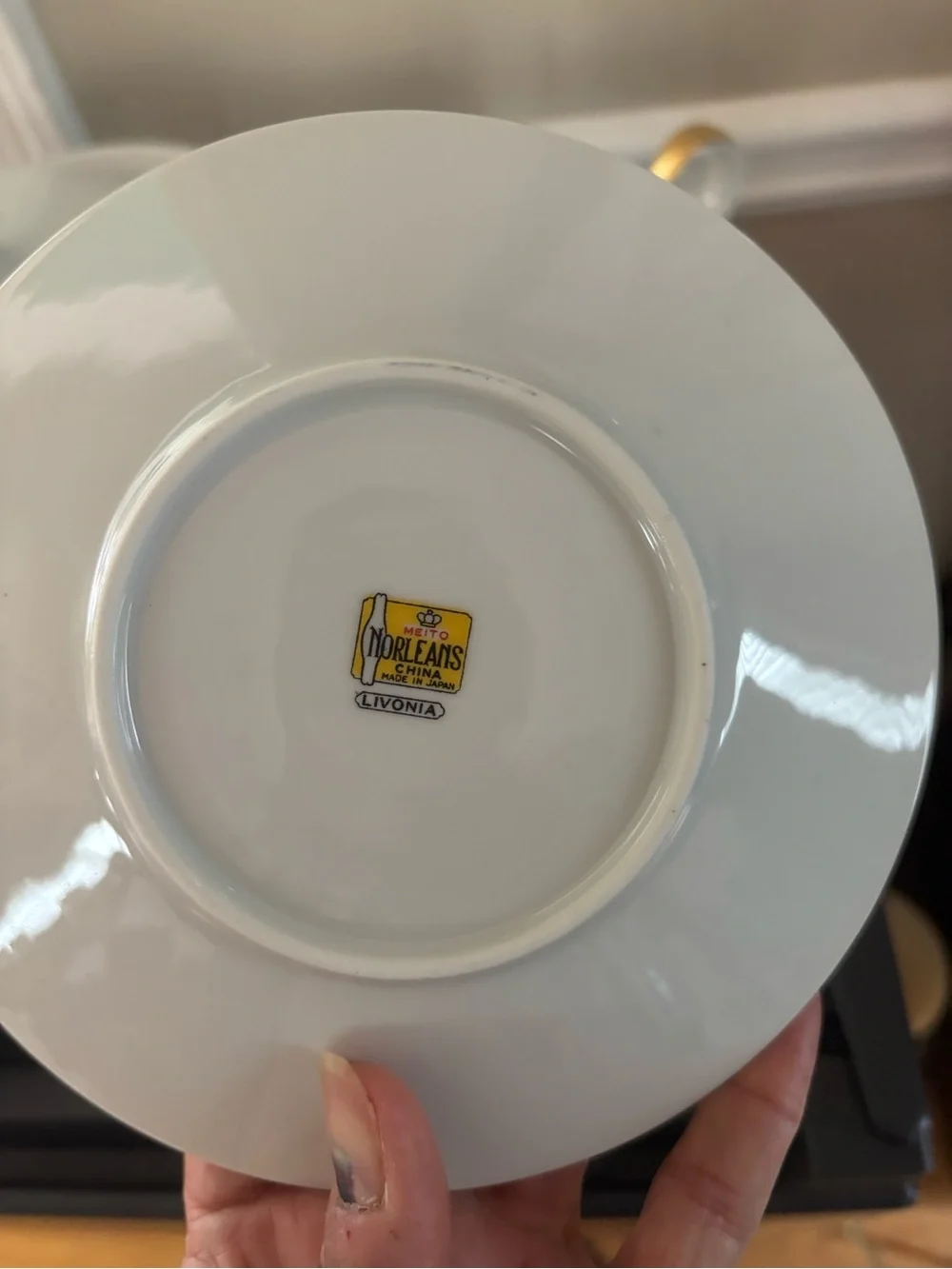 Vintage Meito Norleans Livonia Fine China